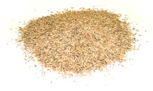 greenview-grass-seed