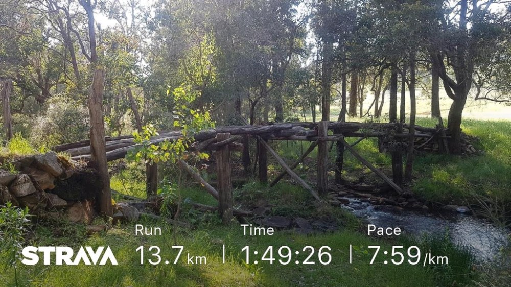 strava1974308118548101324